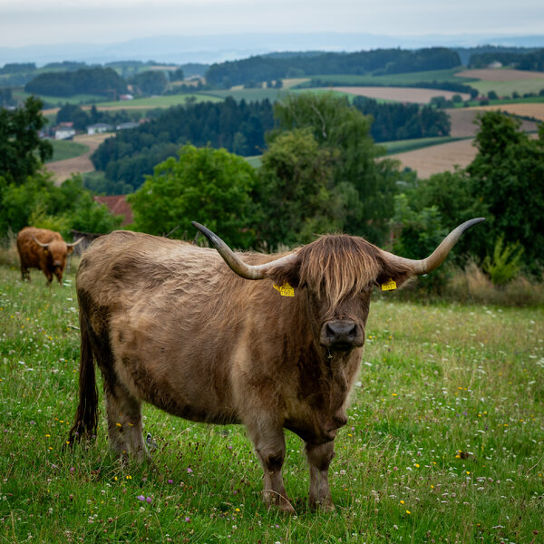 P1020989.jpg P1020989.jpg