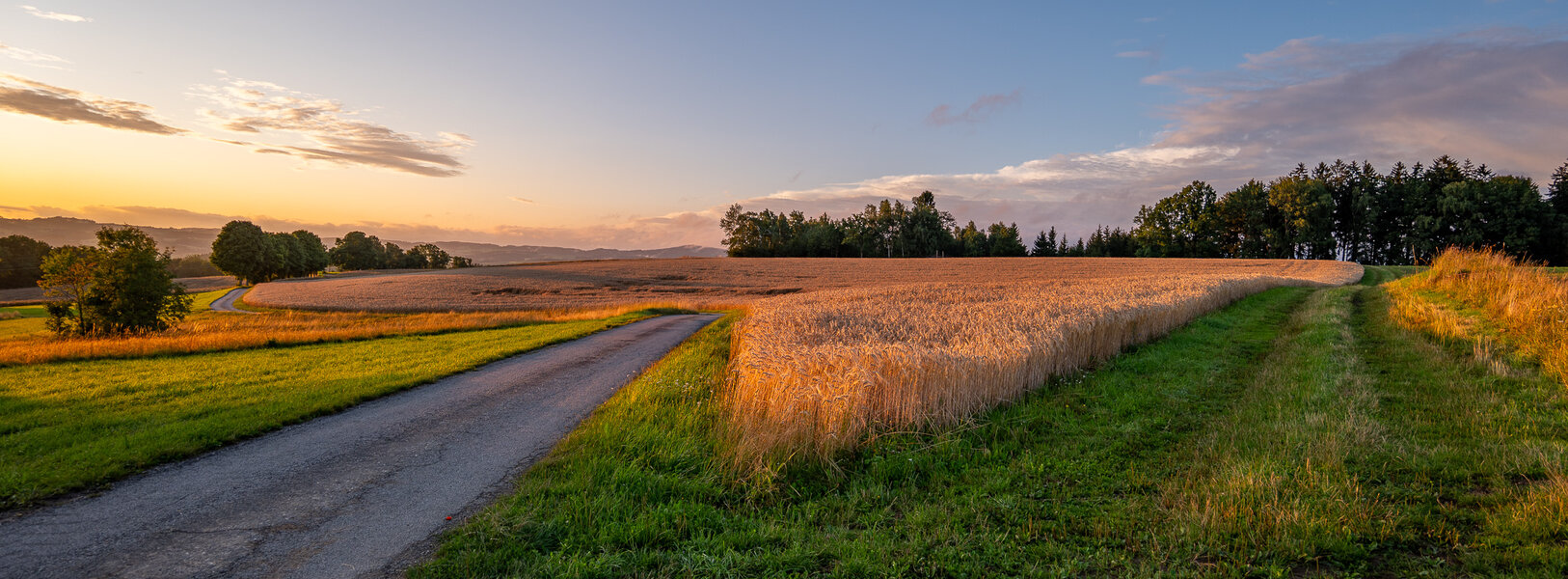 P1021104-3.jpg
