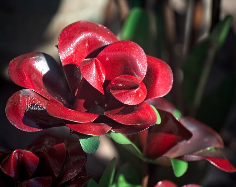 52784814566_aaec0861b0_b.jpg 52784814566_aaec0861b0_b.jpg