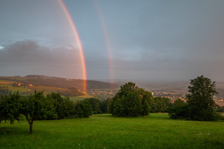 P1021224-2.jpg
