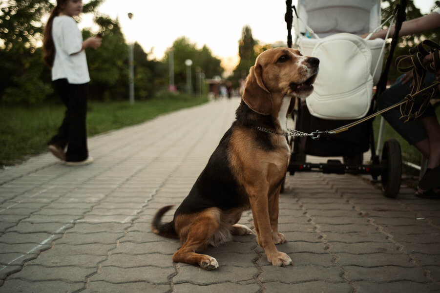 P1005512.jpg P1005512.jpg