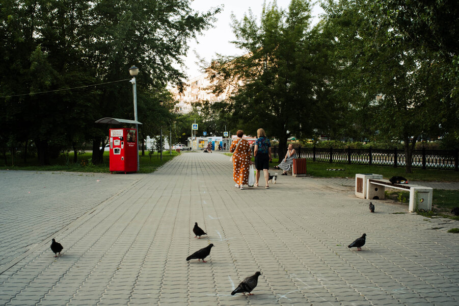 P1005515.jpg P1005515.jpg