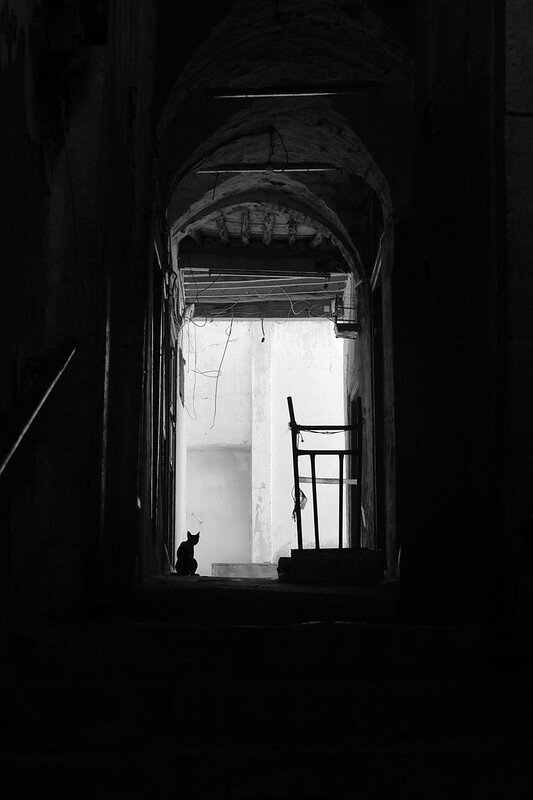 54706298348_40ac3d7df2_c.jpg 54706298348_40ac3d7df2_c.jpg