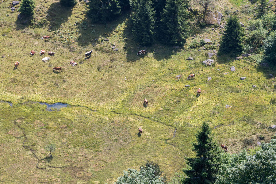 PANA6513.jpg