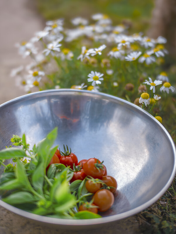 Produce 50mm 1.4 Manual.jpg