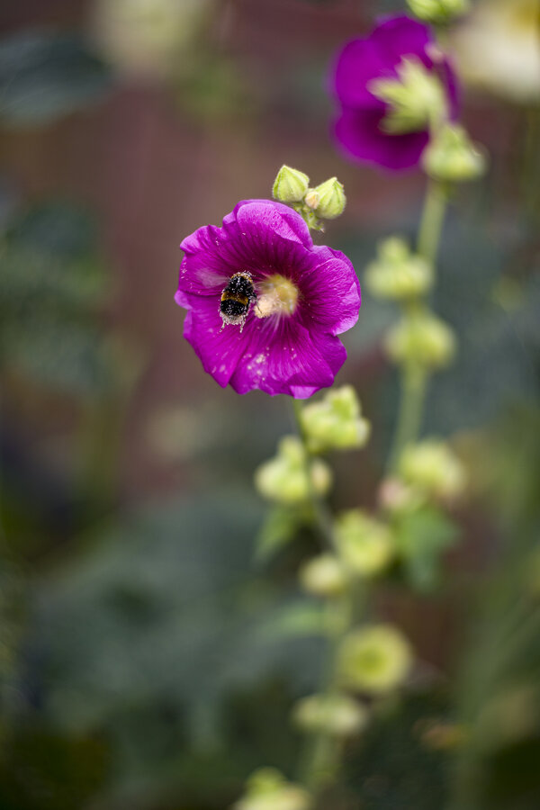 Tair 11A Manual BF.jpg