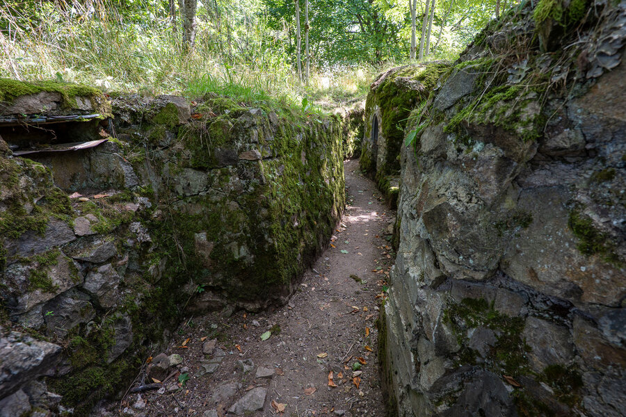 PANA6629.jpg