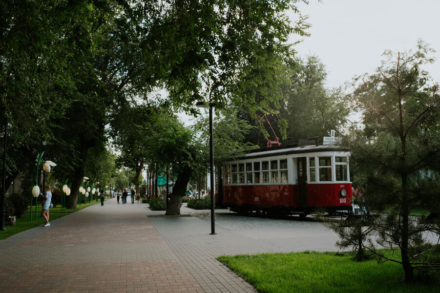 P1005739.jpg P1005739.jpg