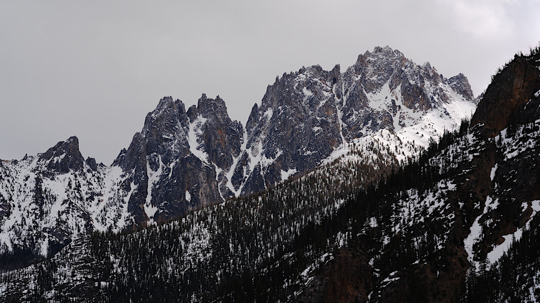 SilverStar-April-M100-f8.jpg