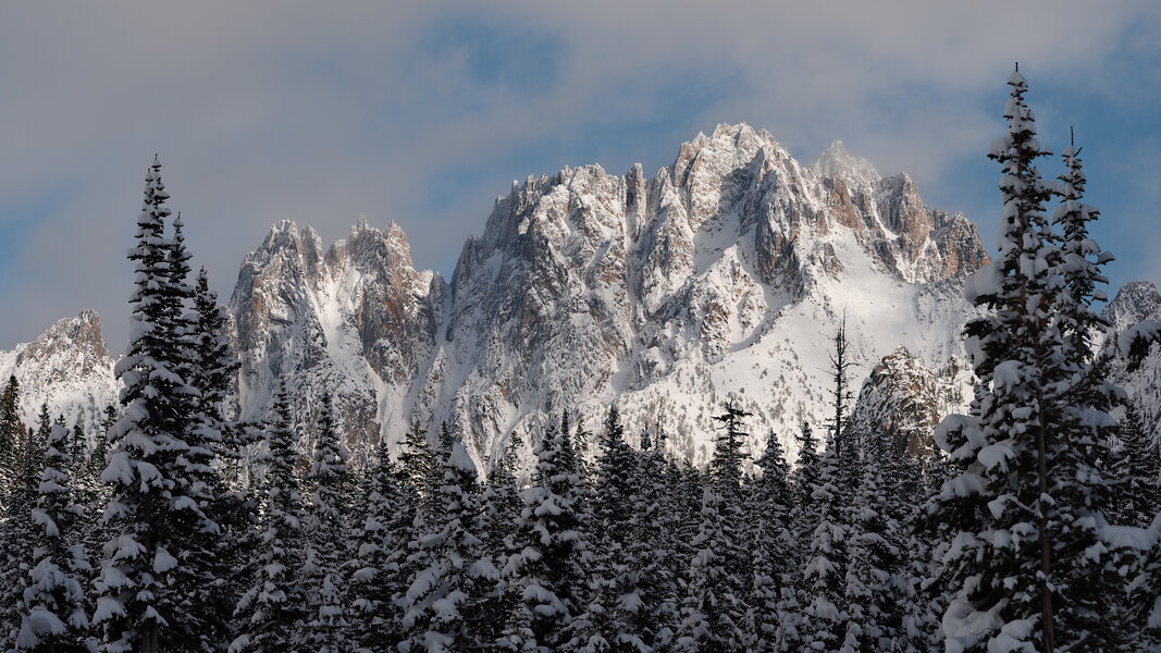 SilverStar-Nov-CV125-f8.jpg