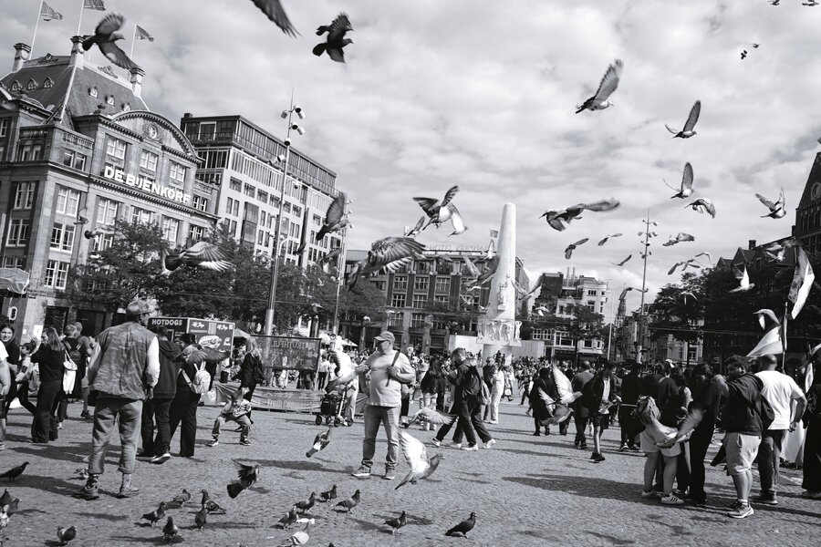 P1460122.jpg