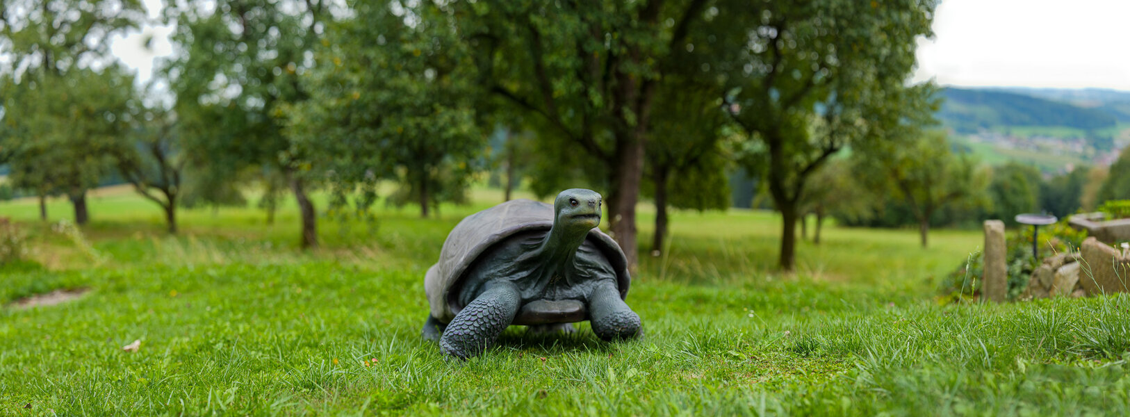 P1032098-Pano PS 2-3.jpg