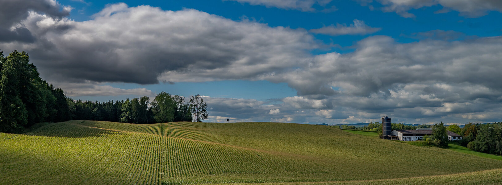 P1000488-4-2.jpg