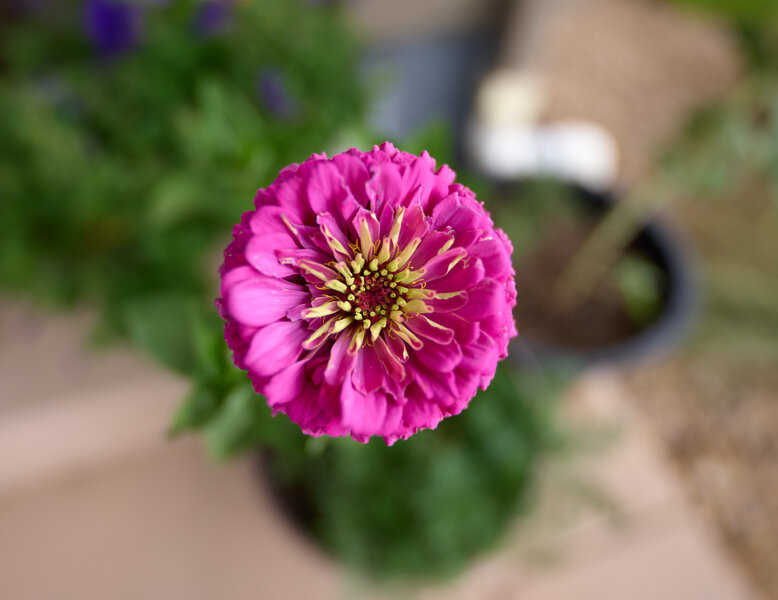 P1204302-X3.jpg