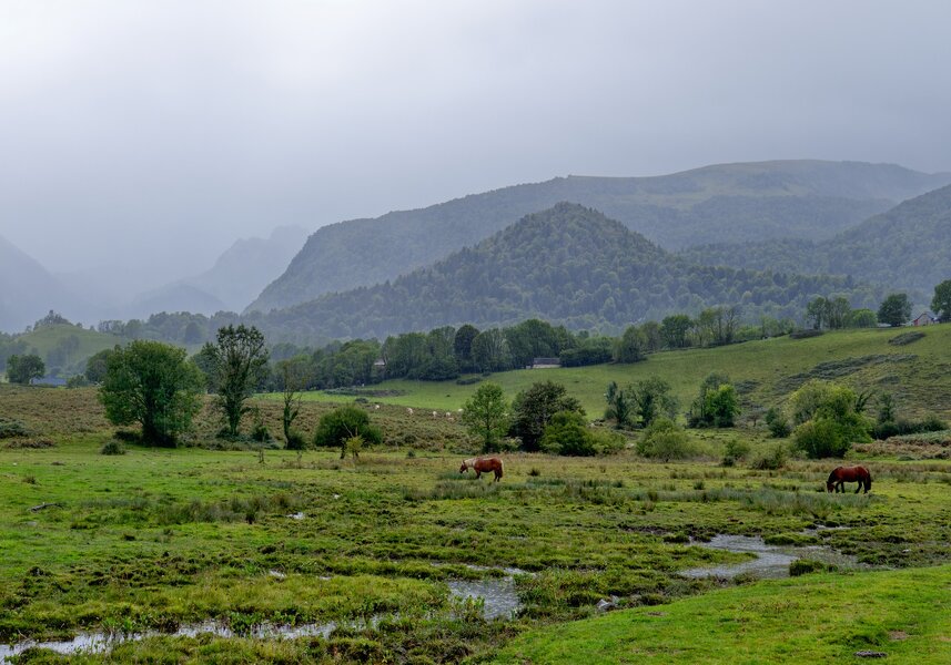 P1014266cropa LMF.jpg