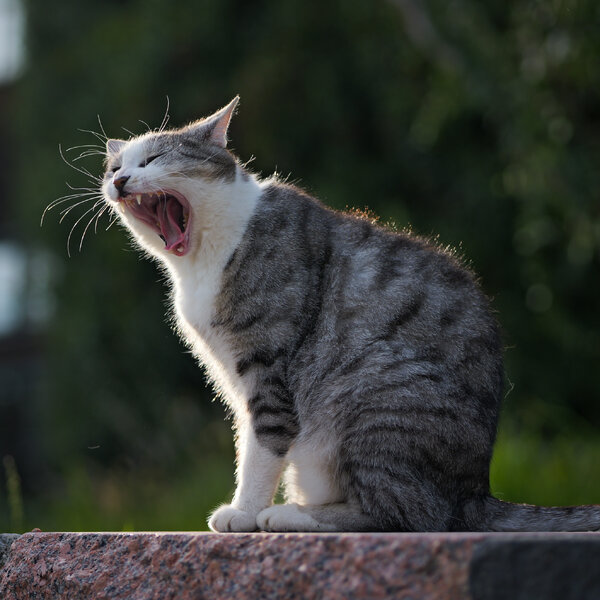 P1031911 (2).jpg P1031911 (2).jpg