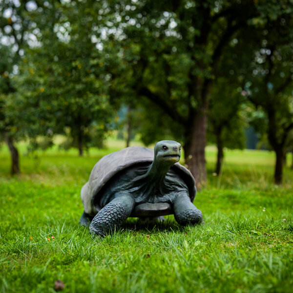 P1032097-Pano (1).jpg P1032097-Pano (1).jpg