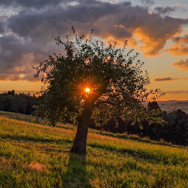 P1032174.jpg P1032174.jpg