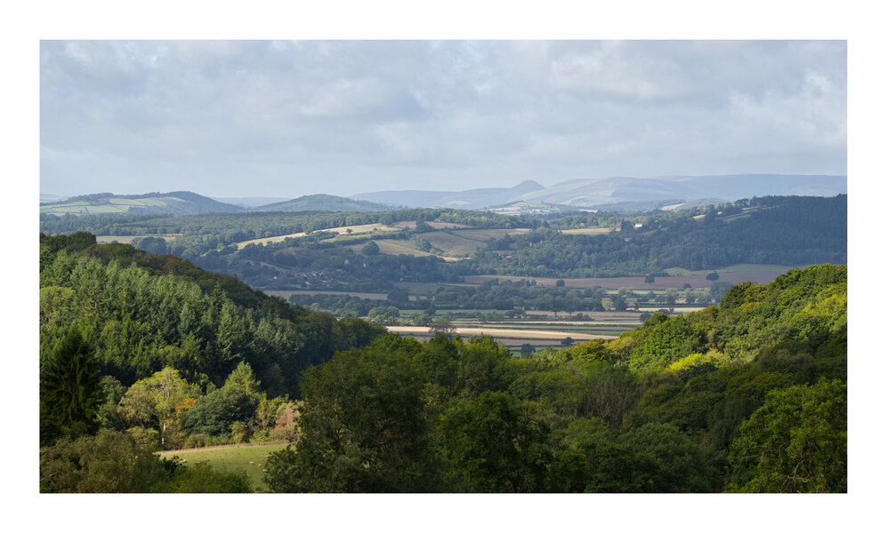 P1000213 bordered.jpg P1000213 bordered.jpg