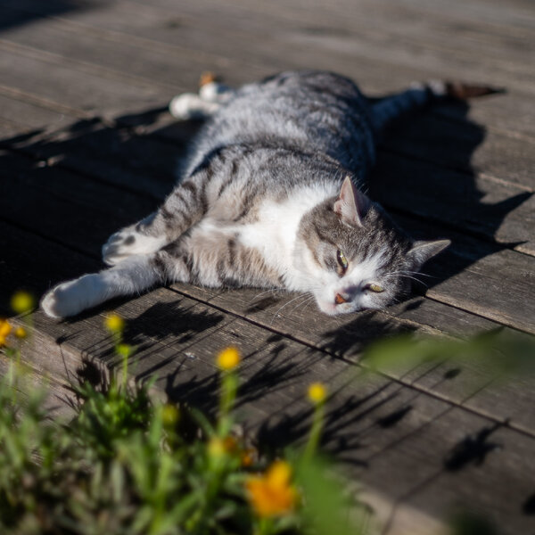 P1032254-2.jpg