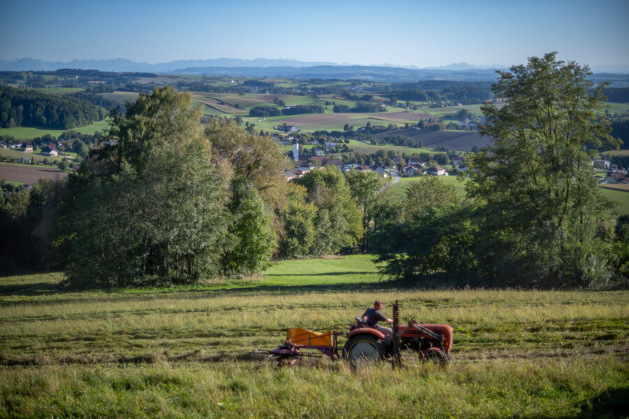 P1032261-2.jpg