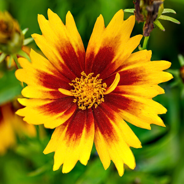 Sin título-1 (1).jpg