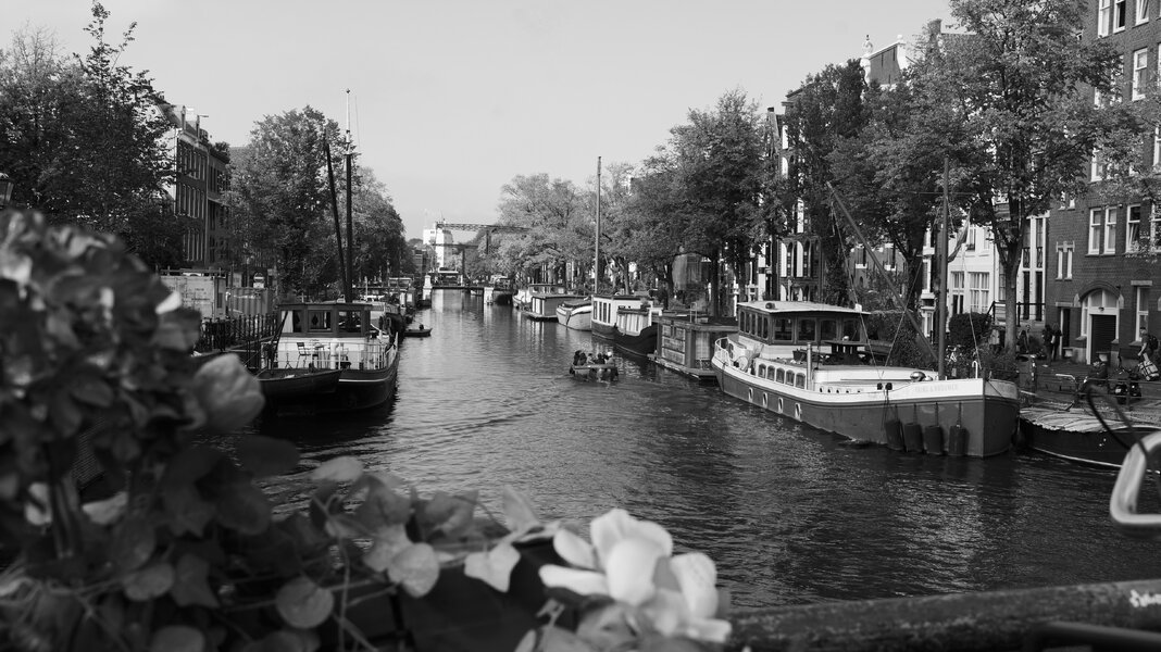 P1491743.jpg
