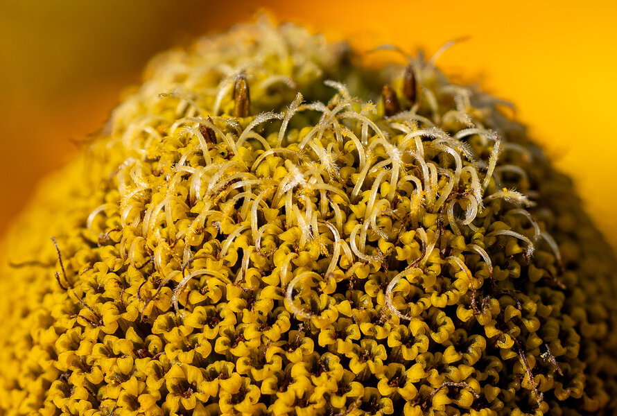 Sin título-1-6-7.jpg