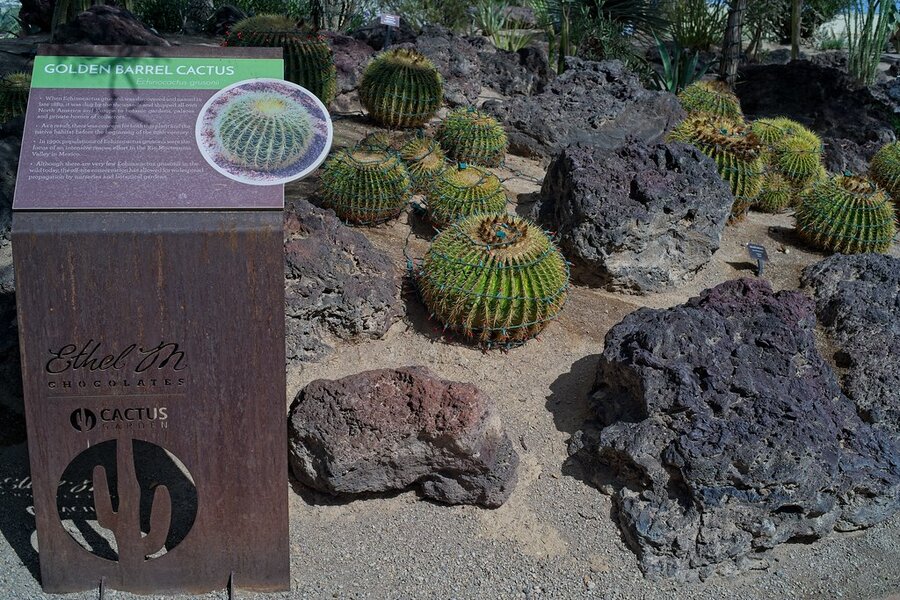 54823551011_25b7f21944_b.jpg 54823551011_25b7f21944_b.jpg