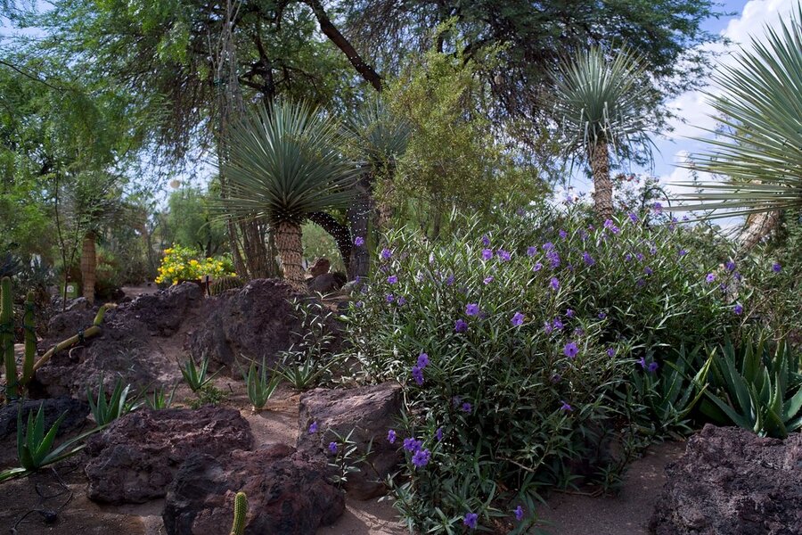 54822702177_35069b9f00_b.jpg 54822702177_35069b9f00_b.jpg