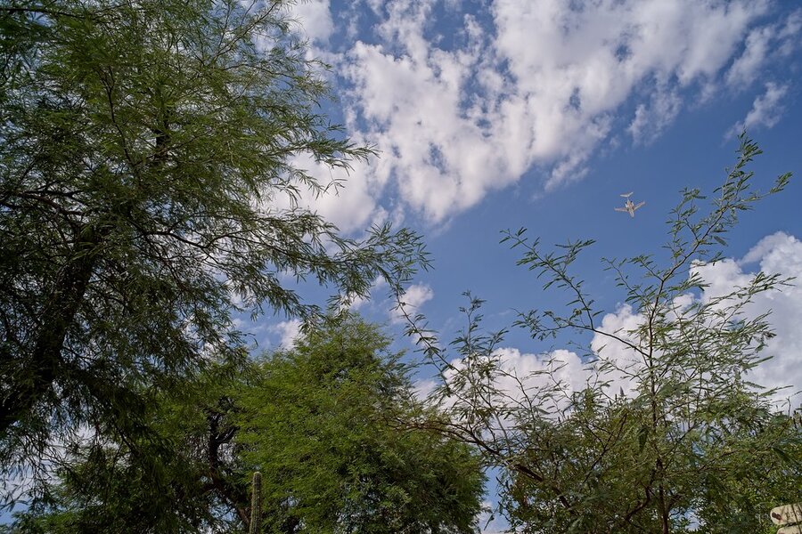 54823820973_2ae87f7efd_b.jpg 54823820973_2ae87f7efd_b.jpg