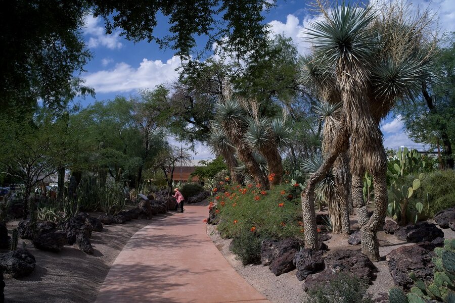 54823550836_69ca911f57_b.jpg 54823550836_69ca911f57_b.jpg