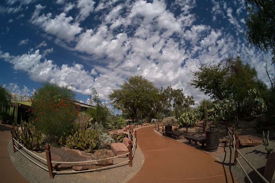 54822702057_f678c3bbd8_b.jpg 54822702057_f678c3bbd8_b.jpg