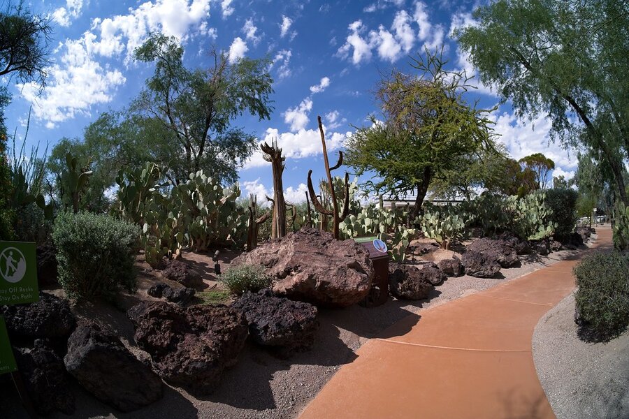 54822701977_a1fa6a703f_b.jpg 54822701977_a1fa6a703f_b.jpg