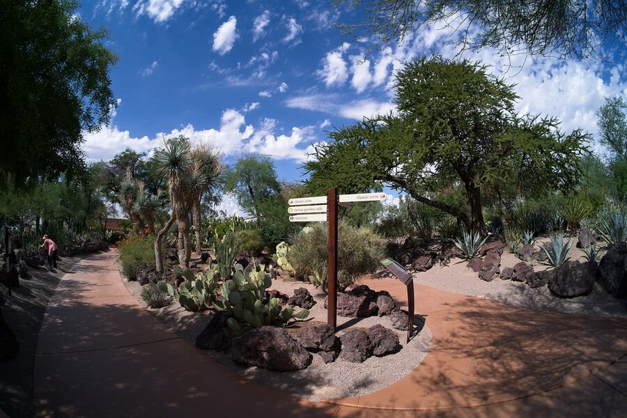 54823550611_520dda2fdd_b.jpg 54823550611_520dda2fdd_b.jpg