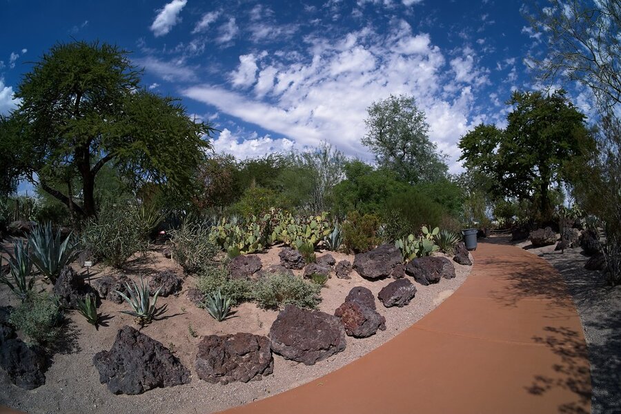 54823820718_d296f9e41b_b.jpg 54823820718_d296f9e41b_b.jpg