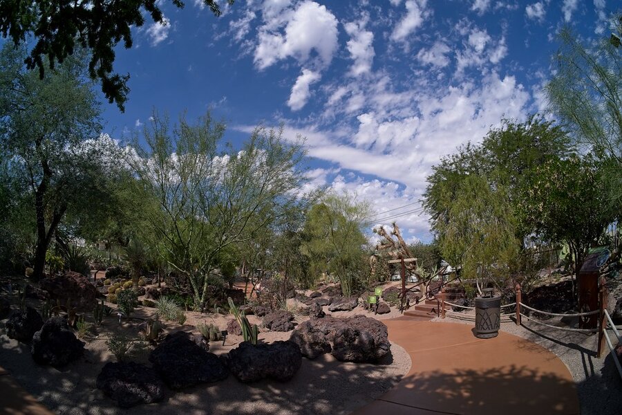 54823883165_8d7ff88b1e_b.jpg 54823883165_8d7ff88b1e_b.jpg