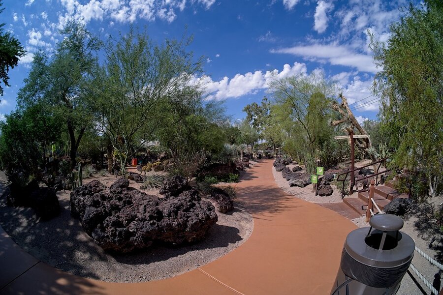 54823799374_7997370fb3_b.jpg 54823799374_7997370fb3_b.jpg