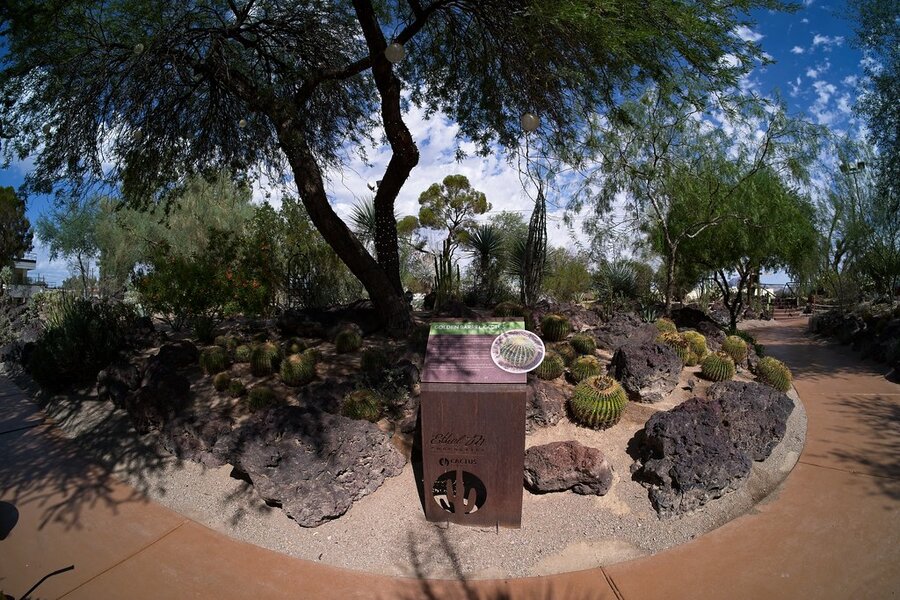 54823820563_67b58bfcd7_b.jpg 54823820563_67b58bfcd7_b.jpg