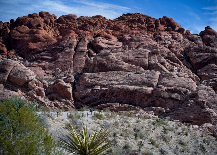 54824009099_96f0b7f7c0_b.jpg 54824009099_96f0b7f7c0_b.jpg