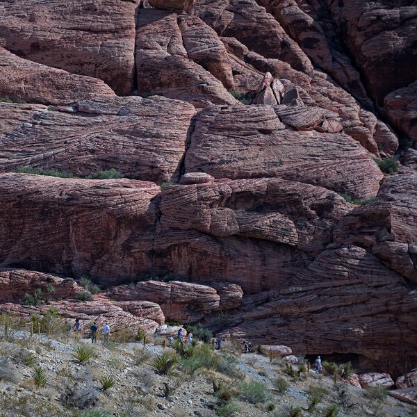 54823759791_63084acdbc_b.jpg 54823759791_63084acdbc_b.jpg