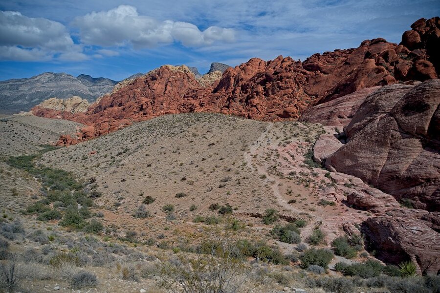 54823759746_98a19ee6a4_b.jpg 54823759746_98a19ee6a4_b.jpg