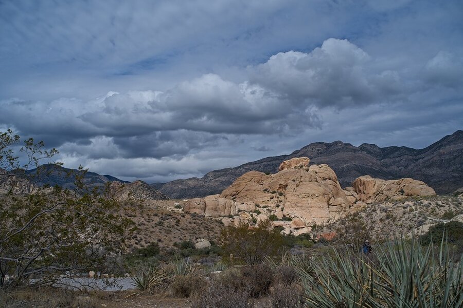 54824030038_f7557349ce_b.jpg 54824030038_f7557349ce_b.jpg