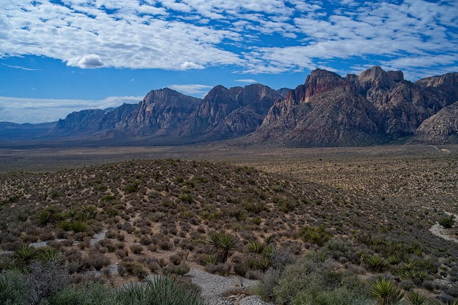 54824029943_4eb1eddee8_b.jpg 54824029943_4eb1eddee8_b.jpg