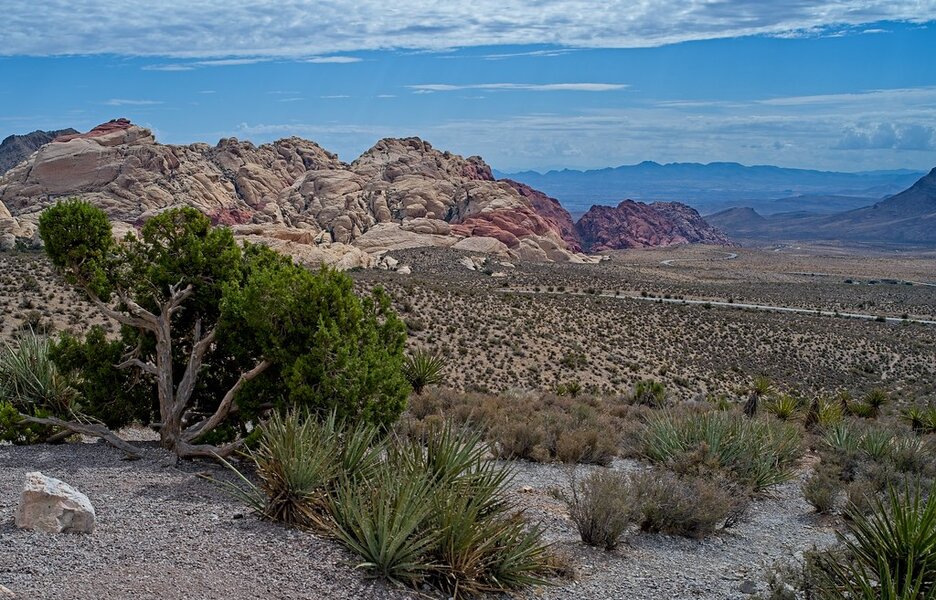 54824029898_b9f8c5e896_b.jpg 54824029898_b9f8c5e896_b.jpg