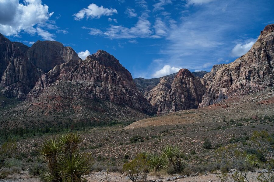 54827922537_33b8b86919_b.jpg 54827922537_33b8b86919_b.jpg