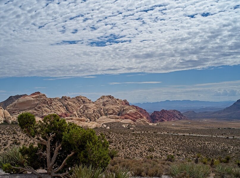 54822909982_42f9a81d8c_b.jpg 54822909982_42f9a81d8c_b.jpg