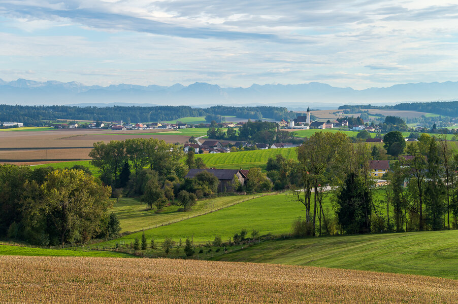 P1000580-2.jpg