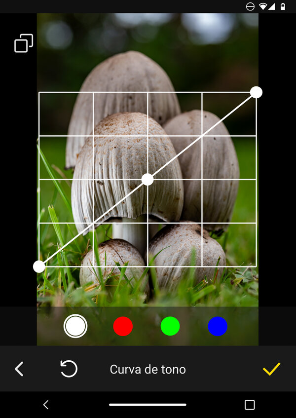 Screenshot_20251014-134129.jpg
