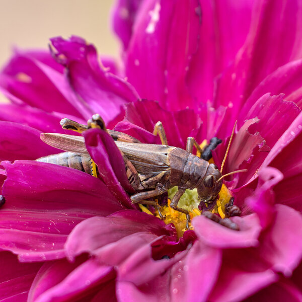 P1236435-X2.jpg